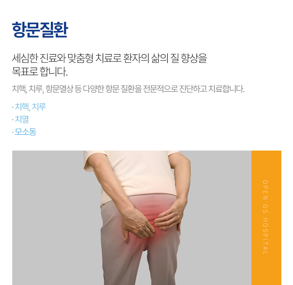 항문질환