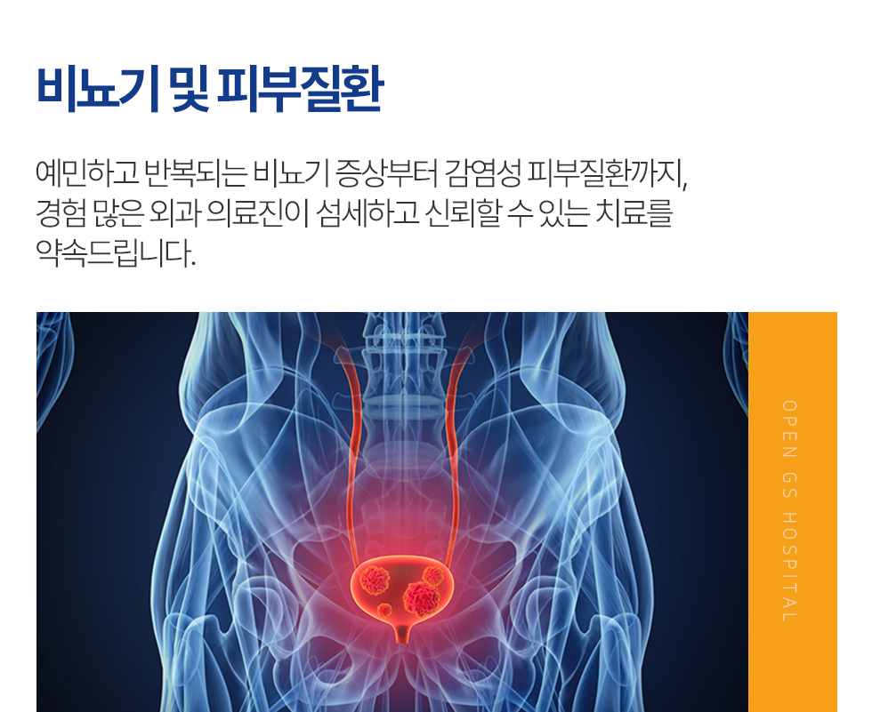 비뇨기 및 피부질환